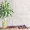Drachen-Polizist Drache