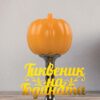 pumpkin pumpkin