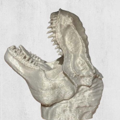 dinosaur