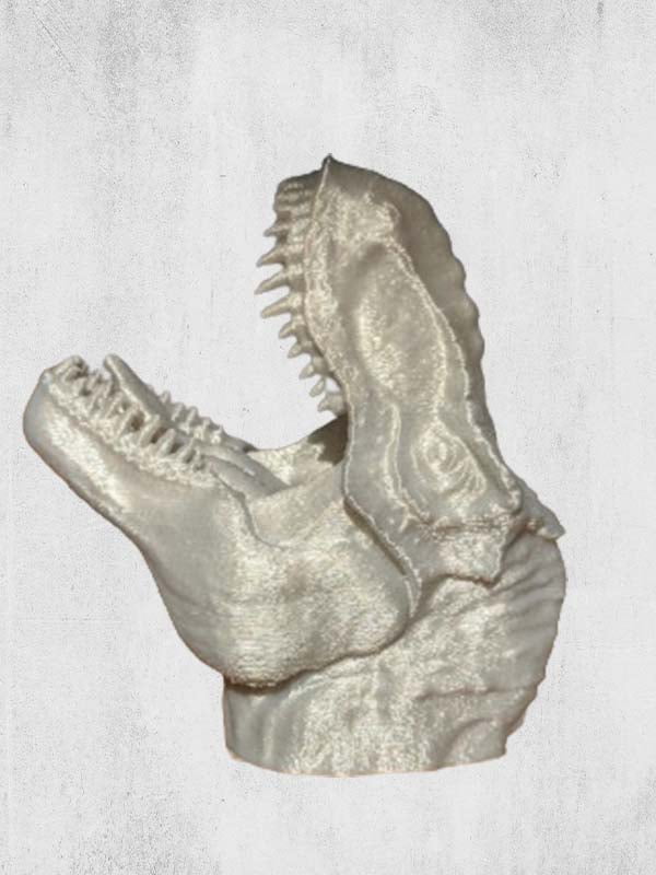 dinosaur-1 dinosaur