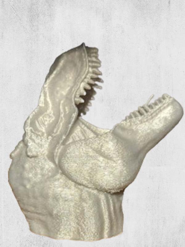 dinosaur dinosaur