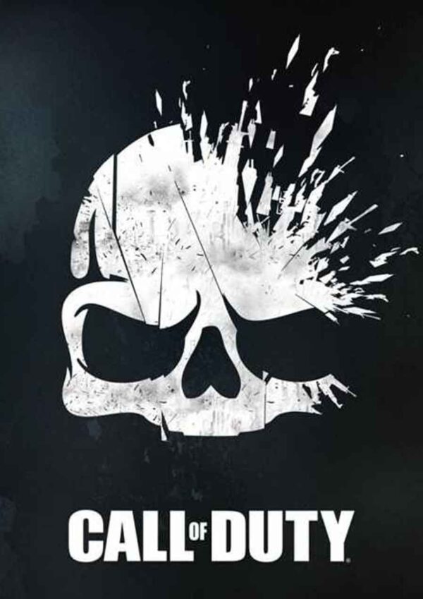 Call of Duty 4 Call of Duty game poster